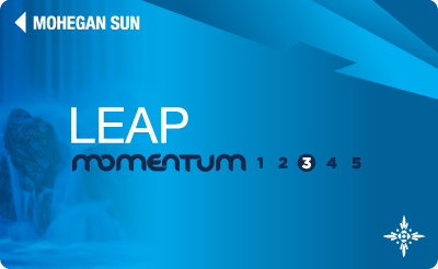 Leap Card